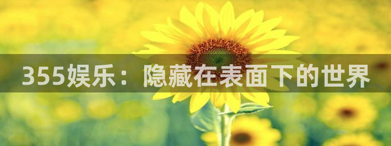 天顺娱乐：355娱乐：隐藏在表面下的世界