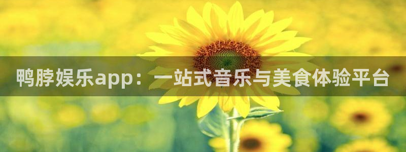 天顺娱乐：鸭脖娱乐app：一站式音乐与美食体验平台