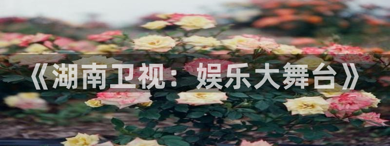 天顺娱乐：《湖南卫视：娱乐大舞台》